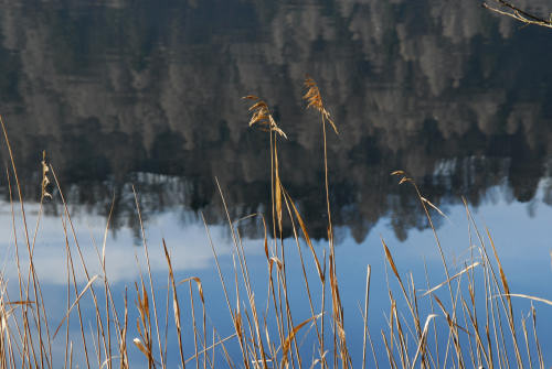 Lago di Levico e Tenna