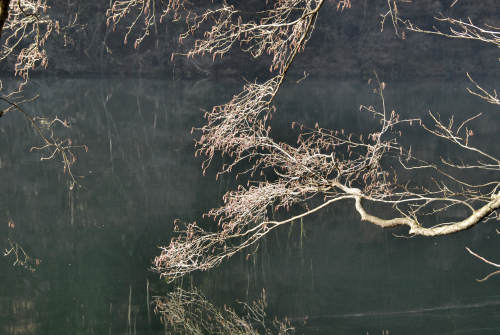 Lago di Levico e Tenna