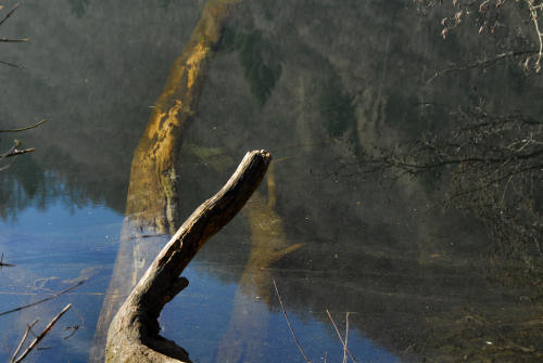 Lago di Levico e Tenna