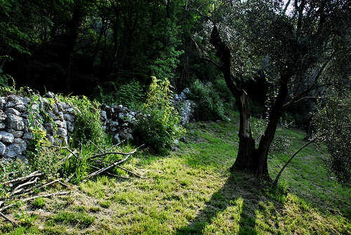 Pove del Grappa - sentiero didattico Madonna del Cornon