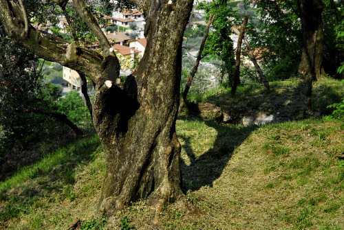 Pove del Grappa - sentiero didattico Madonna del Cornon