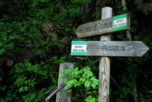 Pove del Grappa - sentiero didattico Madonna del Cornon