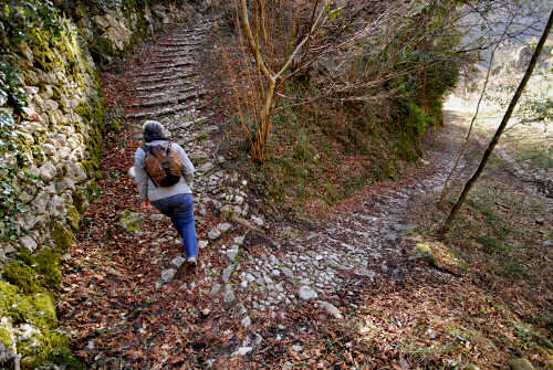 Valbrenta - sentiero San Nazario, Pian Castello, Col Fenilon