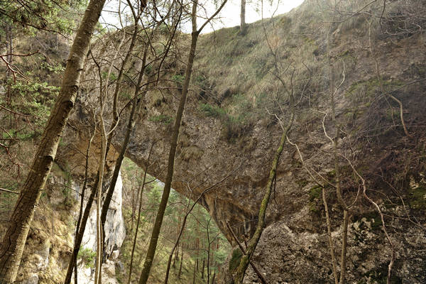 Ponte dell'Orco a Ospedaletto in Valsugana