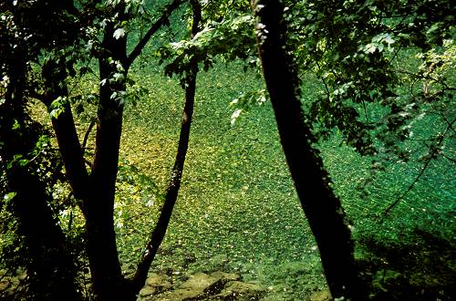 Grotte di Oliero a Valstagna