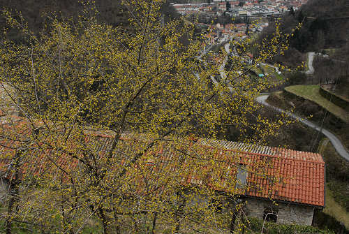 contrada Giaconi, Valstagna