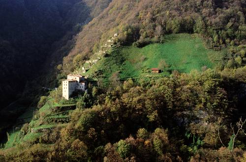 terrazzamenti e masiere nel Canal di Brenta a Valstagna