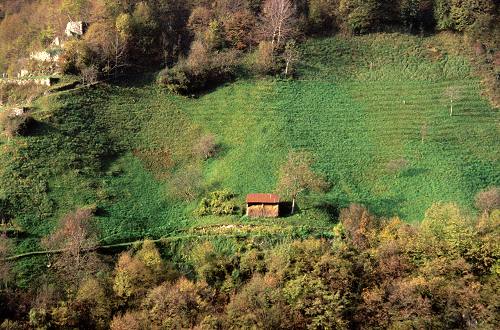 terrazzamenti e masiere nel Canal di Brenta a Valstagna