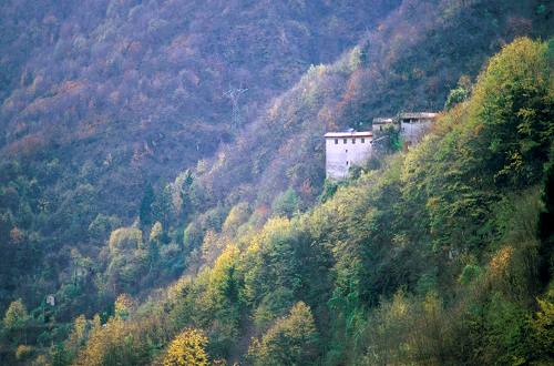 terrazzamenti e masiere nel Canal di Brenta a Valstagna