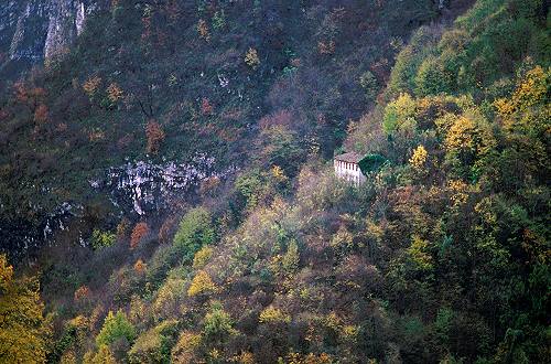 terrazzamenti e masiere nel Canal di Brenta a Valstagna