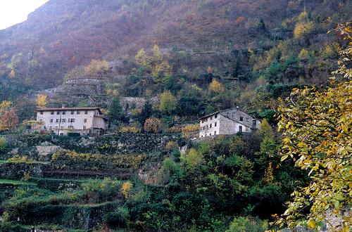 terrazzamenti e masiere nel Canal di Brenta a Valstagna