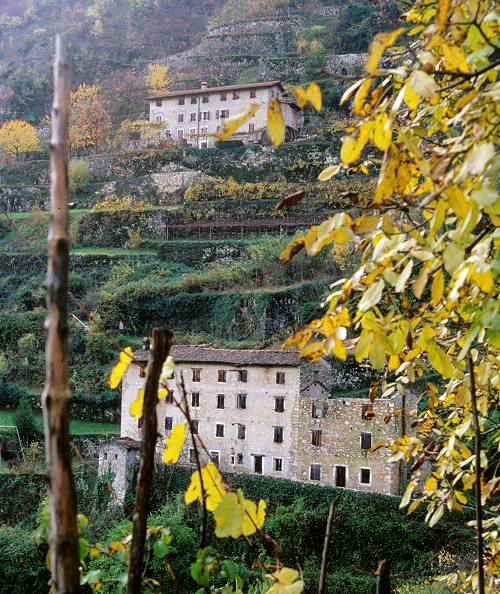 terrazzamenti e masiere nel Canal di Brenta a Valstagna