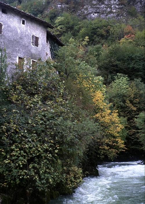 terrazzamenti e masiere nel Canal di Brenta a Valstagna