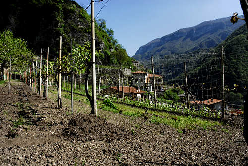 Valstagna contrada Mattietti