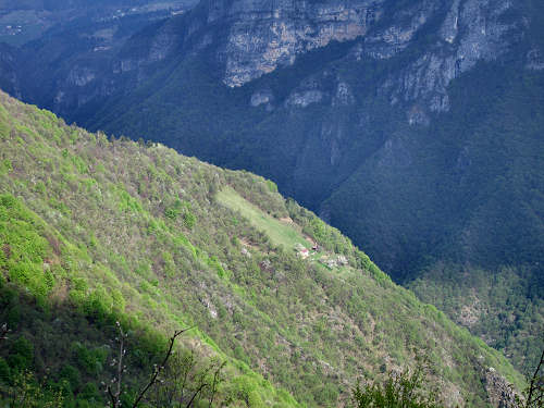 sentiero del Vu da Londa di Valstagna al Col d'Astiago nell'Altopiano di Asiago