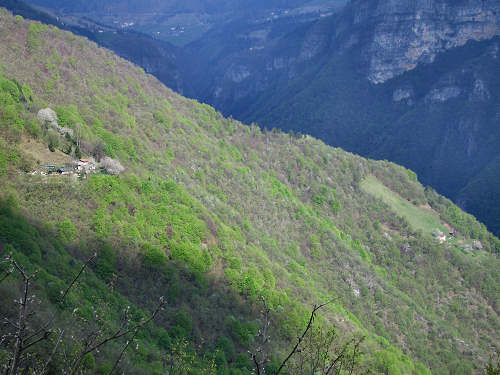 sentiero del Vu da Londa di Valstagna al Col d'Astiago nell'Altopiano di Asiago