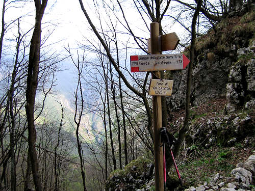 sentiero del Vu da Londa di Valstagna al Col d'Astiago nell'Altopiano di Asiago