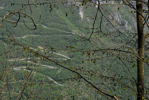 sentiero del Vu, Col d'Astiago e Cima del Cimo nell'Altopiano di Asiago