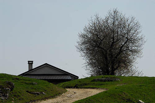 sentiero del Vu, Col d'Astiago e Cima del Cimo nell'Altopiano di Asiago