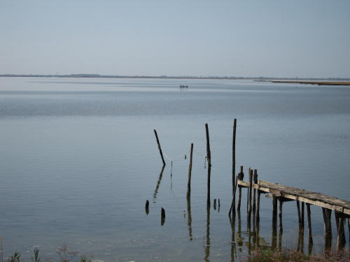 Portegrandi di Quarto d'Altino - taglio del Sile, laguna nord di Venezia