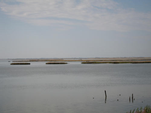 Portegrandi di Quarto d'Altino - taglio del Sile, laguna nord di Venezia