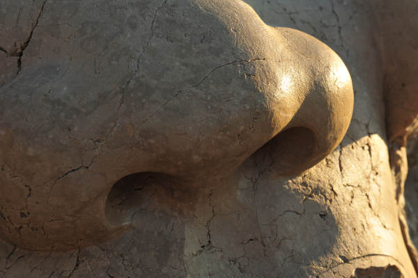 Scogliera Viva, sculture nella massicciata lungomare di Caorle