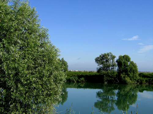 la campagna polesana e il fiume argine a Cavarzere