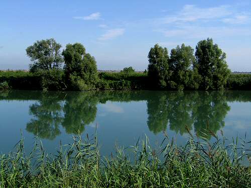 la campagna polesana e il fiume argine a Cavarzere