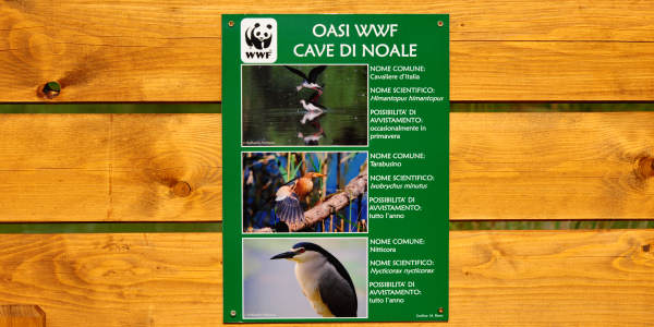 Oasi Wwf delle Cave di Noale