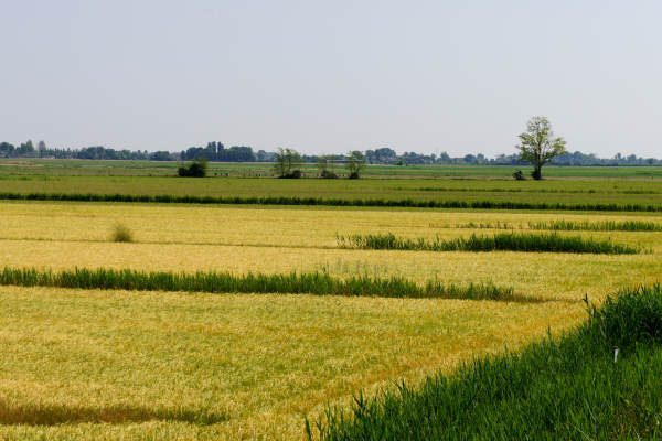 Quarto d'Altino, pista ciclabile fiume Zero, Altino, Trepalade, Sile