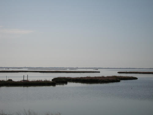 Portegrandi di Quarto d'Altino - taglio del Sile, laguna nord di Venezia