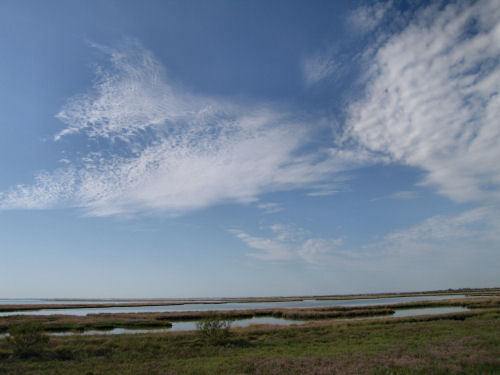 Portegrandi di Quarto d'Altino - taglio del Sile, laguna nord di Venezia