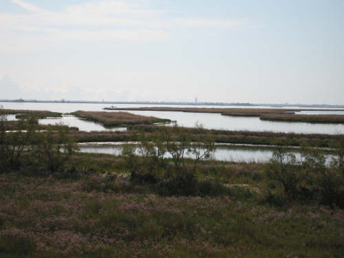 Portegrandi di Quarto d'Altino - taglio del Sile, laguna nord di Venezia