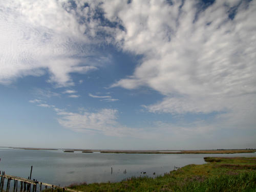 Portegrandi di Quarto d'Altino - taglio del Sile, laguna nord di Venezia