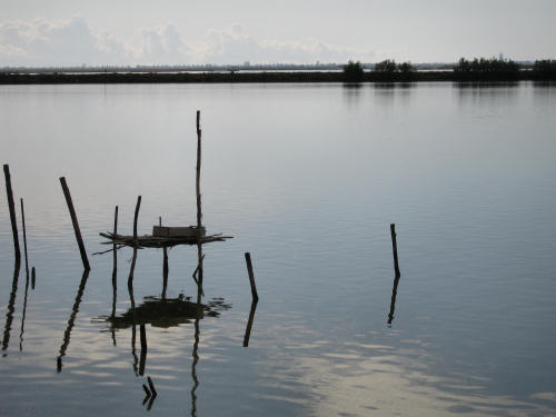 Portegrandi di Quarto d'Altino - taglio del Sile, laguna nord di Venezia