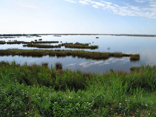 Portegrandi di Quarto d'Altino - taglio del Sile, laguna nord di Venezia