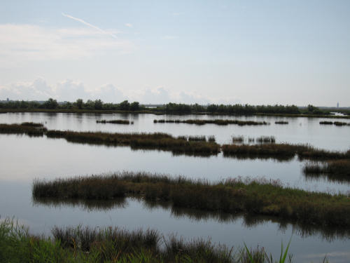 Portegrandi di Quarto d'Altino - taglio del Sile, laguna nord di Venezia