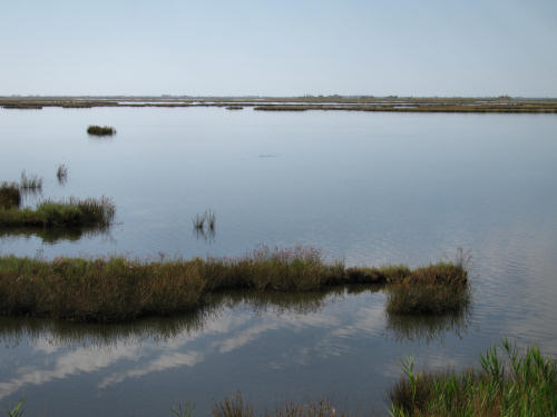 Portegrandi di Quarto d'Altino - taglio del Sile, laguna nord di Venezia
