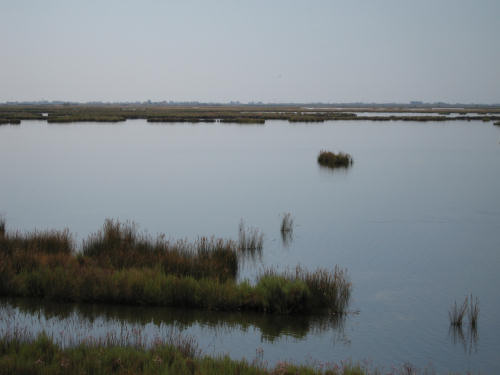 Portegrandi di Quarto d'Altino - taglio del Sile, laguna nord di Venezia