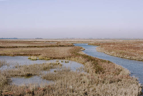 Treporti, Lio Piccolo - laguna nord di Venezia
