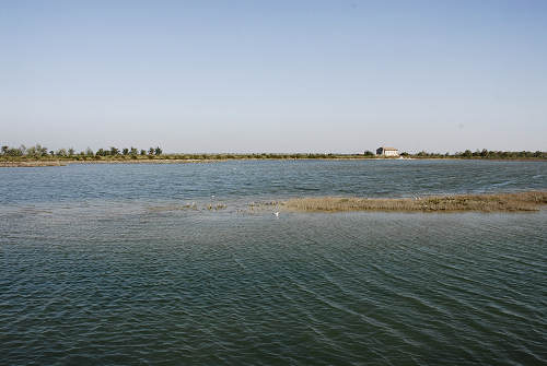 Treporti, Lio Piccolo - laguna nord di Venezia