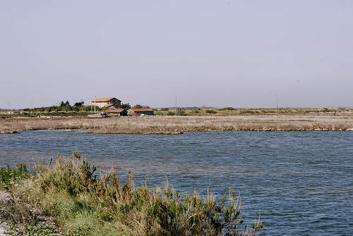Treporti, Lio Piccolo - laguna nord di Venezia