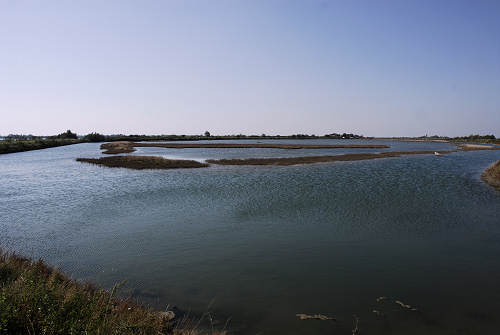 Treporti, Lio Piccolo - laguna nord di Venezia
