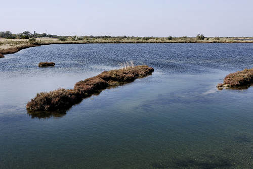 Treporti, Lio Piccolo - laguna nord di Venezia