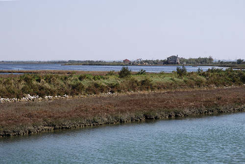 Treporti, Lio Piccolo - laguna nord di Venezia