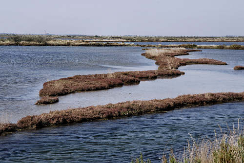 Treporti, Lio Piccolo - laguna nord di Venezia