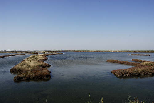 Treporti, Lio Piccolo - laguna nord di Venezia