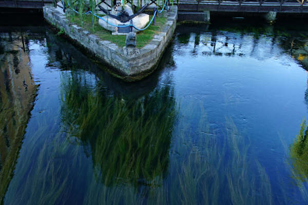 Portogruaro e il Veneto Orientale, giro cicloturistico Lemene Reghena