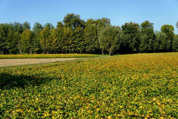 Portogruaro e il Veneto Orientale, giro cicloturistico Lemene Reghena
