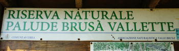 Cerea (Verona), oasi naturalistica Riserva Naturale Palude di Brusà